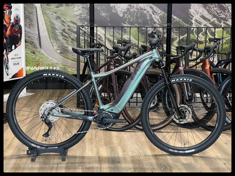 Liv Vall-E+ 2 29er 25km/h Medium Echeveria 2022